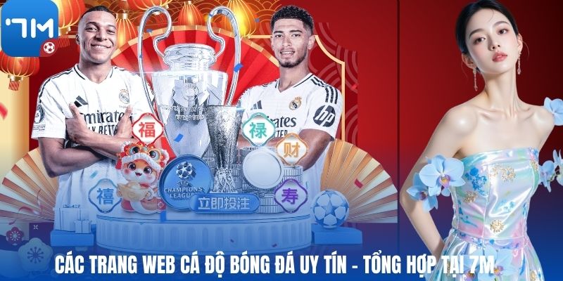 Các Trang Web Cá Độ Bóng Đá Uy Tín - Tổng Hợp Tại 7M
