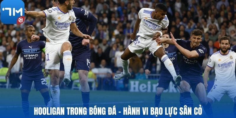 Hooligan trong bóng đá - Hành vi bạo lực sân cỏ