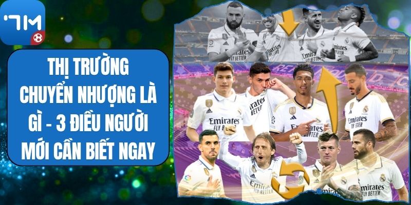 Thị Trường Chuyển Nhượng Là Gì - 3 Điều Người Mới Cần Biết Ngay